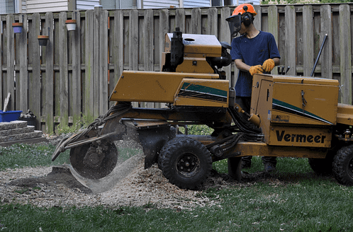 Stump Removal 