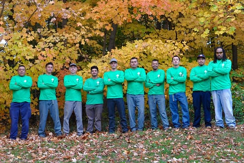Ed's Tree Service Team standing in front of a tree