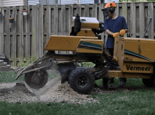 Man using Vermeer Wood chipper in a backyard