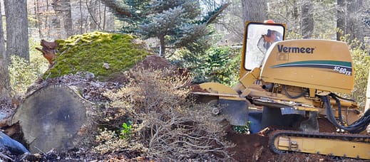 stump removal Bethesda, MD