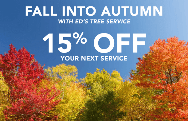 ETS Fall 2025 Special