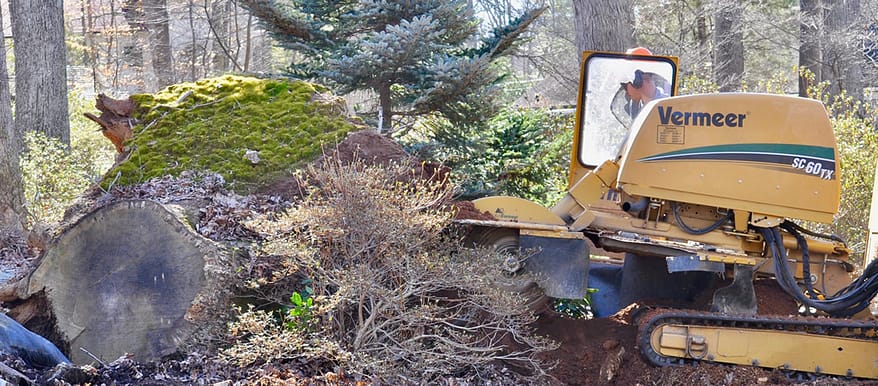 Stump removal, Ed's Tree Service