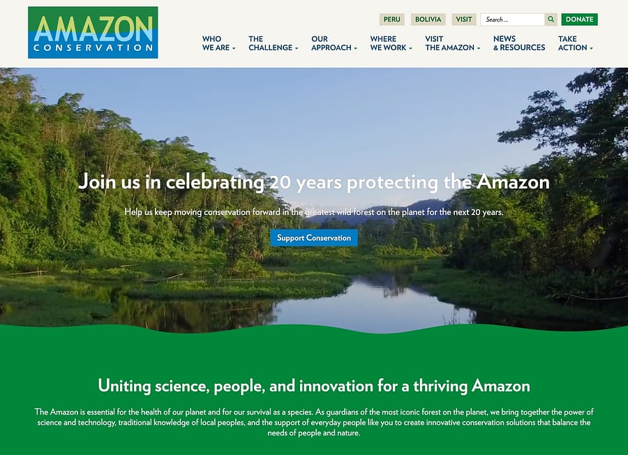 Amazon Conversation WordPress website