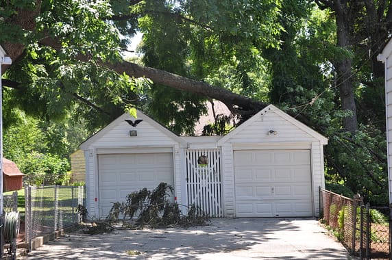 Tree removal after falling on garage in Maryland.