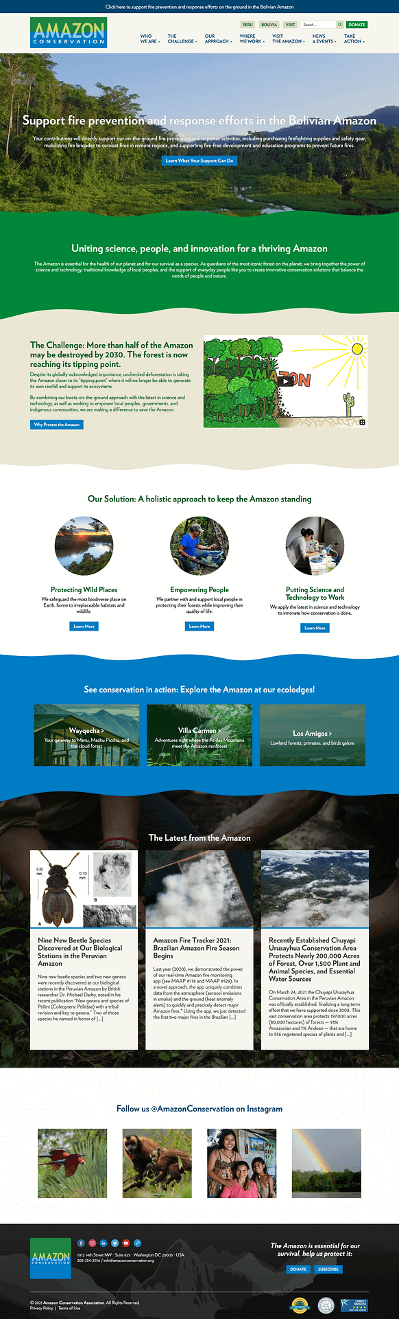 Amazon Conservation Association website design detail