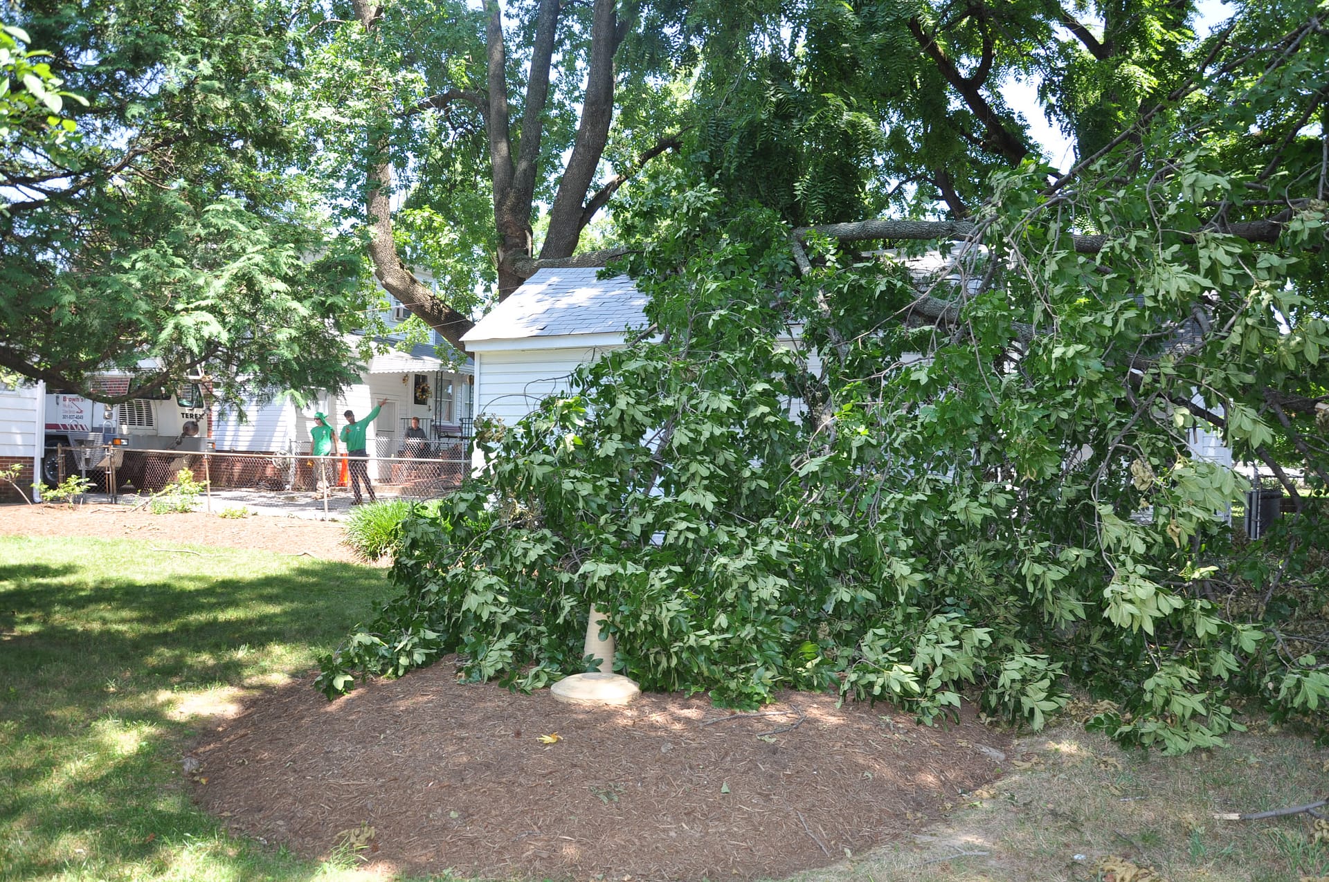Tree removal after falling on garage in Maryland.